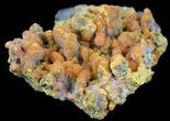 Orange Orpiment and Realgar - Melco Gold Mine, Utah #52393-1